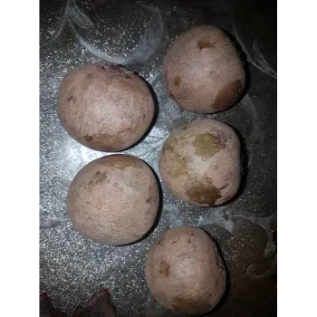 Potato (39)-1900534-72343.webp